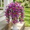 6Pcs Artificial Hibiscus Fake Hanging Flowers, Silk Faux Flowers for Outdoor Planters, UV Resistant Artificial Outdoor Plants for Hanging Baskets, Porches, Patios Decorations (Purple + Red)